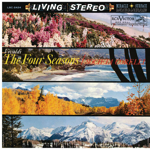 中国老奶奶作爱视频
