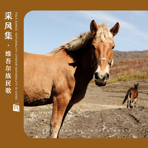 中国老奶奶作爱视频
