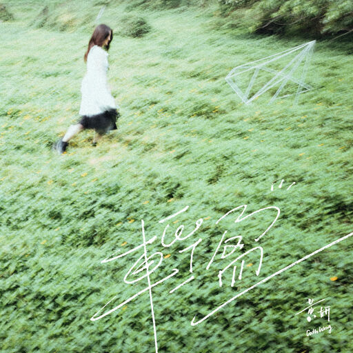 中国老奶奶作爱视频
